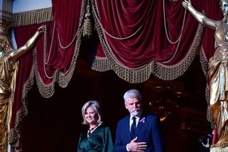 KOMENTÁŘ: Euro a následník trůnu aneb Prezidentovo politické blouznění